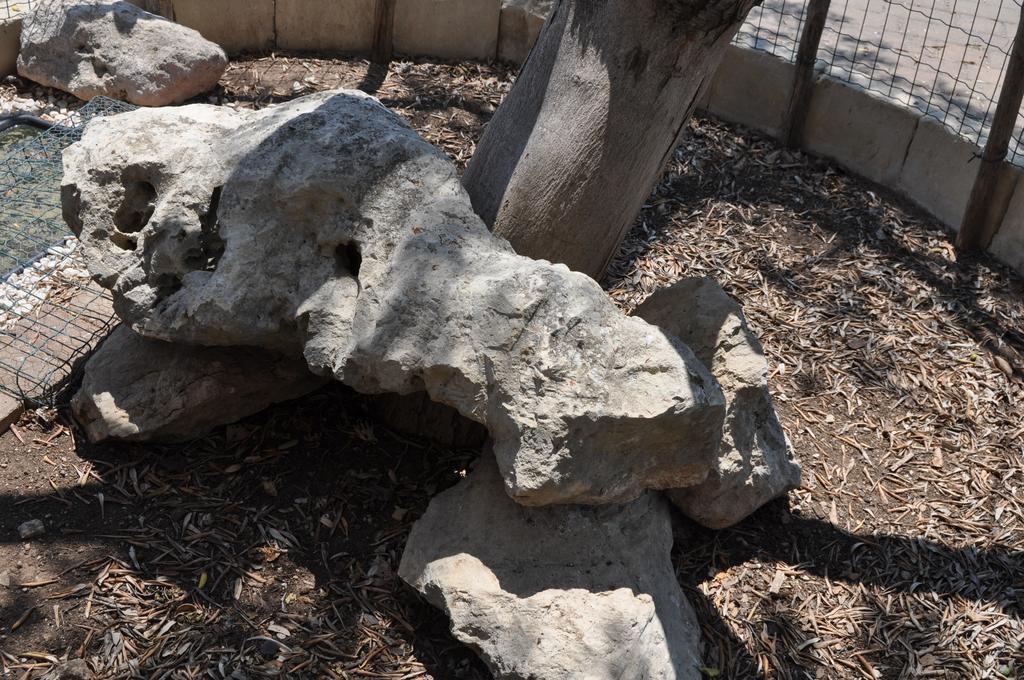 Bed & Breakfast Giardini Di Marzo Lecce Exterior foto